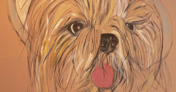 Crea un retrato de un perro en un atrevido estilo pintado impresionista